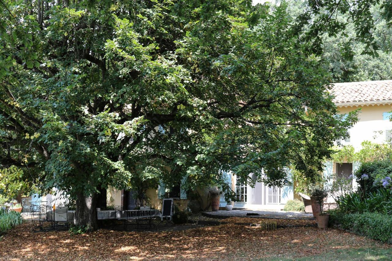 Domaine Des Tilleuls D'Or Saint-Cézaire-sur-Siagne Eksteriør bilde