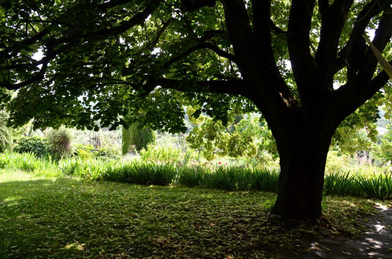 Domaine Des Tilleuls D'Or Saint-Cézaire-sur-Siagne Eksteriør bilde