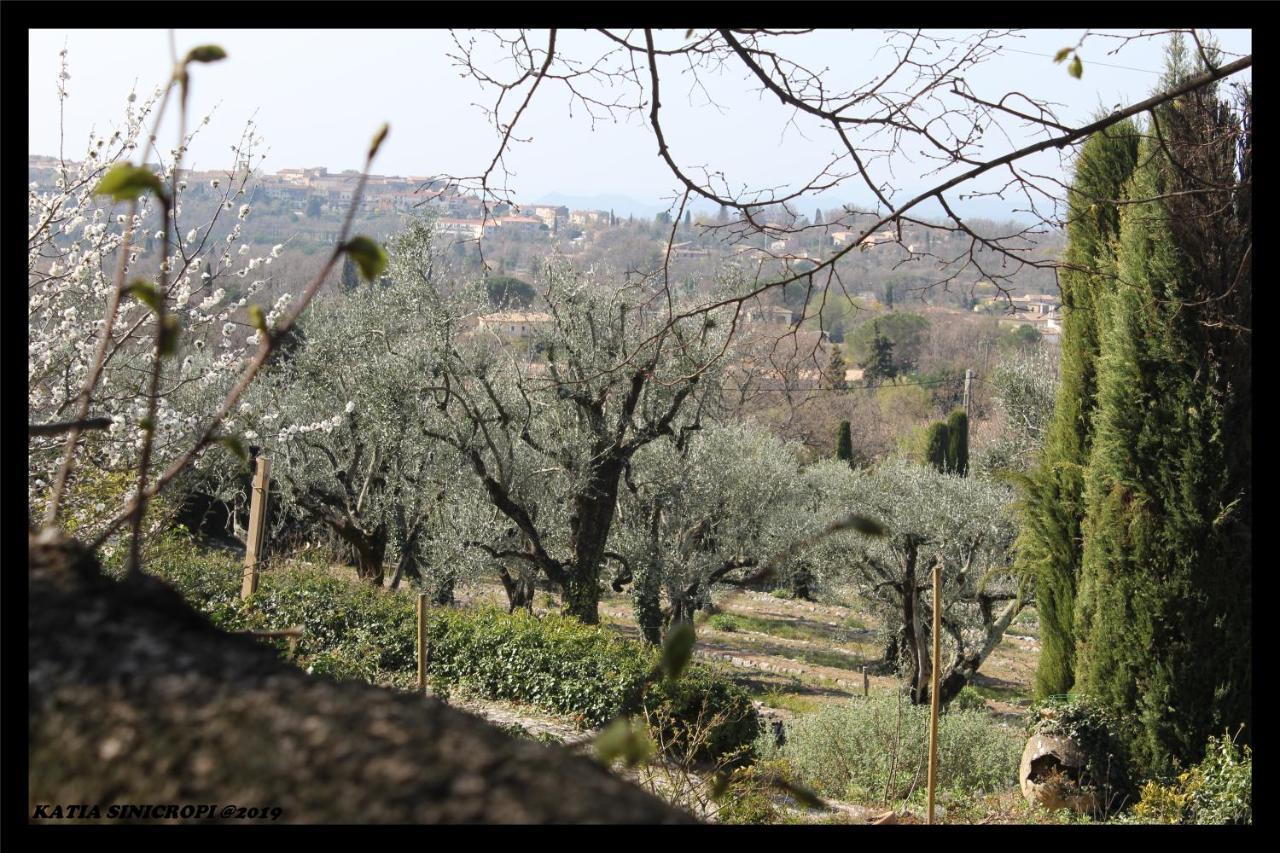 Domaine Des Tilleuls D'Or Saint-Cézaire-sur-Siagne Eksteriør bilde
