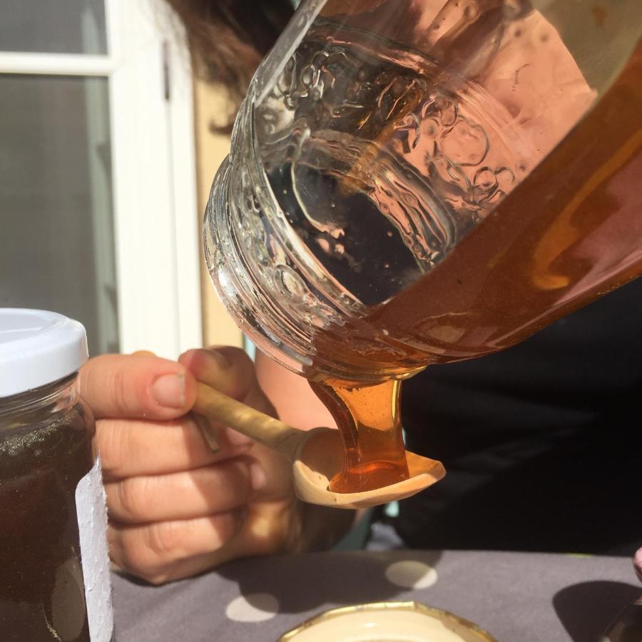 Domaine Des Tilleuls D'Or Saint-Cézaire-sur-Siagne Eksteriør bilde