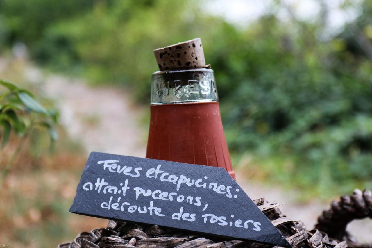 Domaine Des Tilleuls D'Or Saint-Cézaire-sur-Siagne Eksteriør bilde