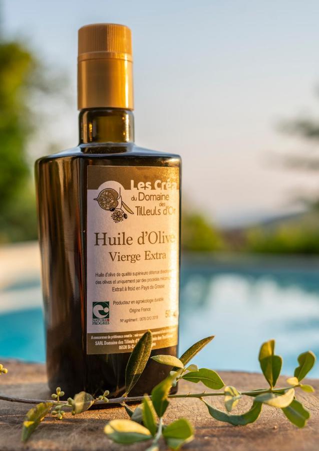 Domaine Des Tilleuls D'Or Saint-Cézaire-sur-Siagne Eksteriør bilde