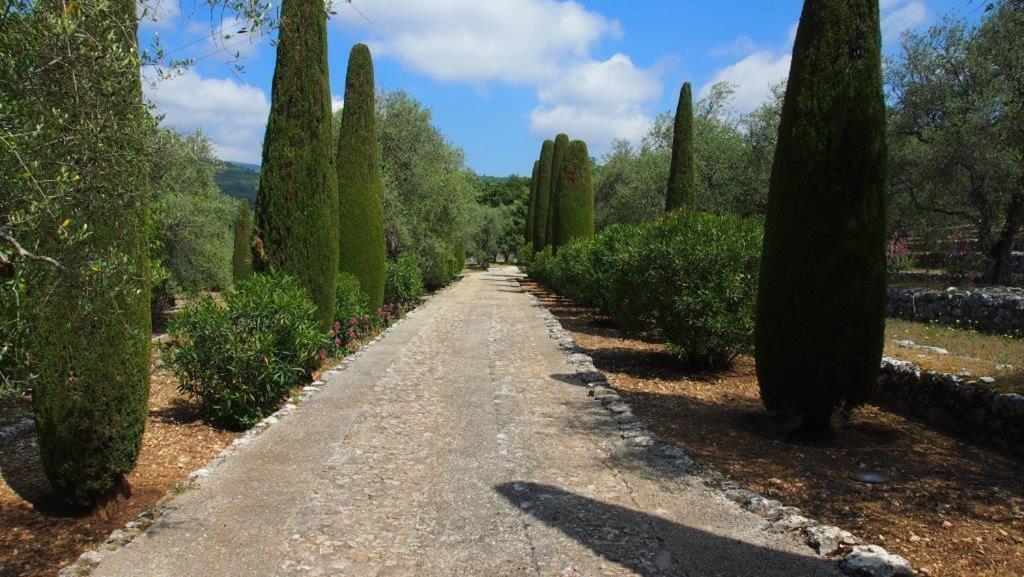 Domaine Des Tilleuls D'Or Saint-Cézaire-sur-Siagne Eksteriør bilde