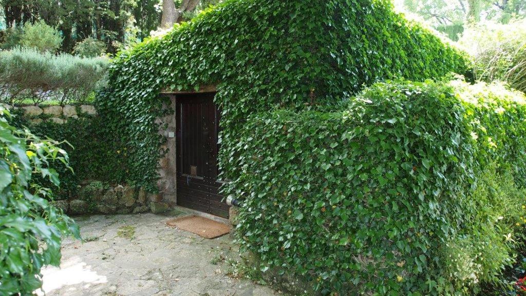 Domaine Des Tilleuls D'Or Saint-Cézaire-sur-Siagne Eksteriør bilde
