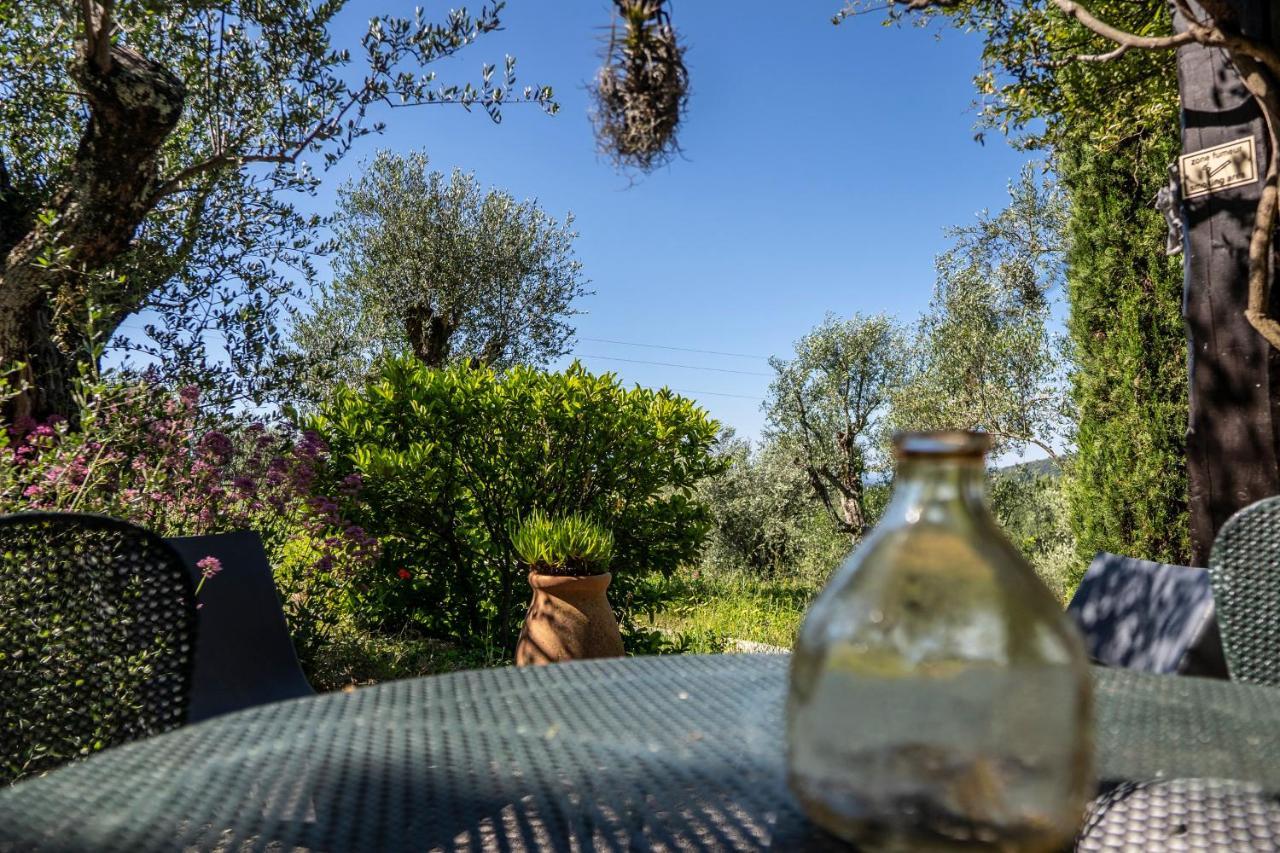 Domaine Des Tilleuls D'Or Saint-Cézaire-sur-Siagne Rom bilde